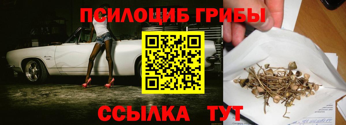 Галлюциногенные грибы Cubensis Новочебоксарск